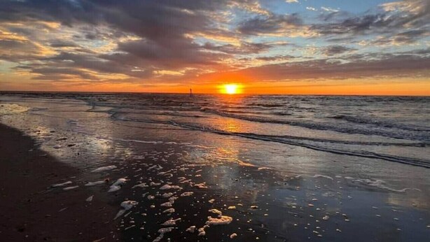 En strandscen med solen som går ner över horisonten, vågor som försiktigt skvalpar mot stranden och en klar himmel ovanför.