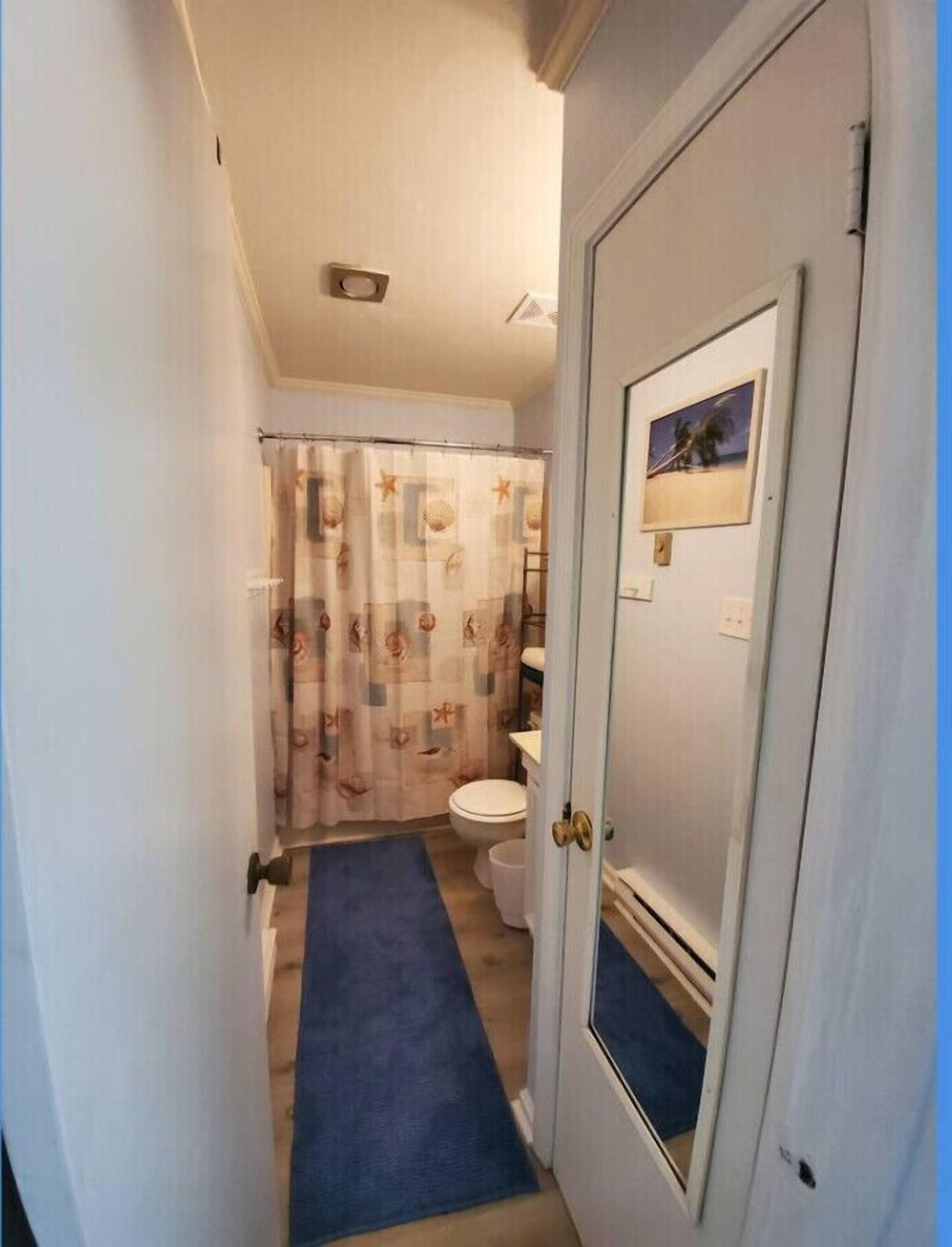 Ein schmales Badezimmer mit Toilette, Duschvorhang und einer blauen Matte.
