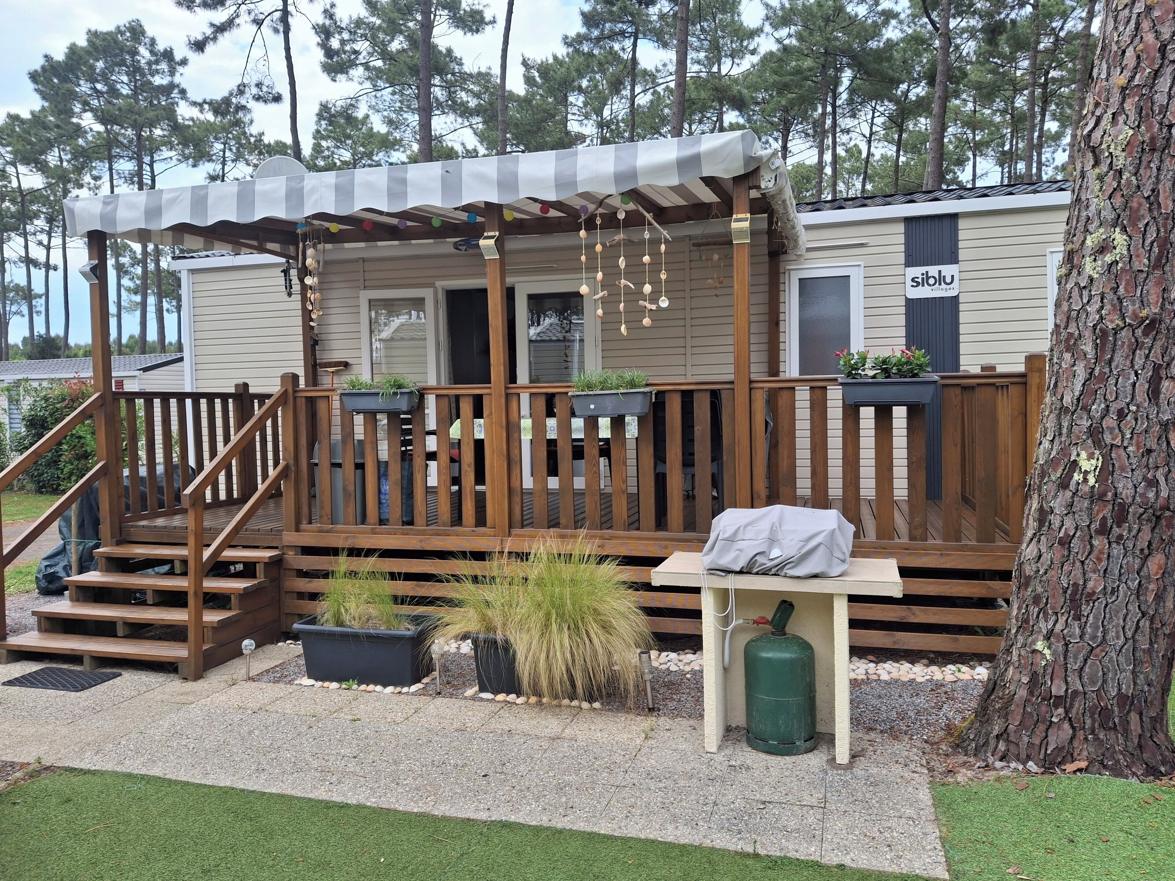 テラス / パティオ