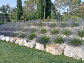 Overnattingsstedets uteområder