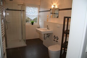 Bathroom features a glass-enclosed shower, sink, toilet, and mirror.