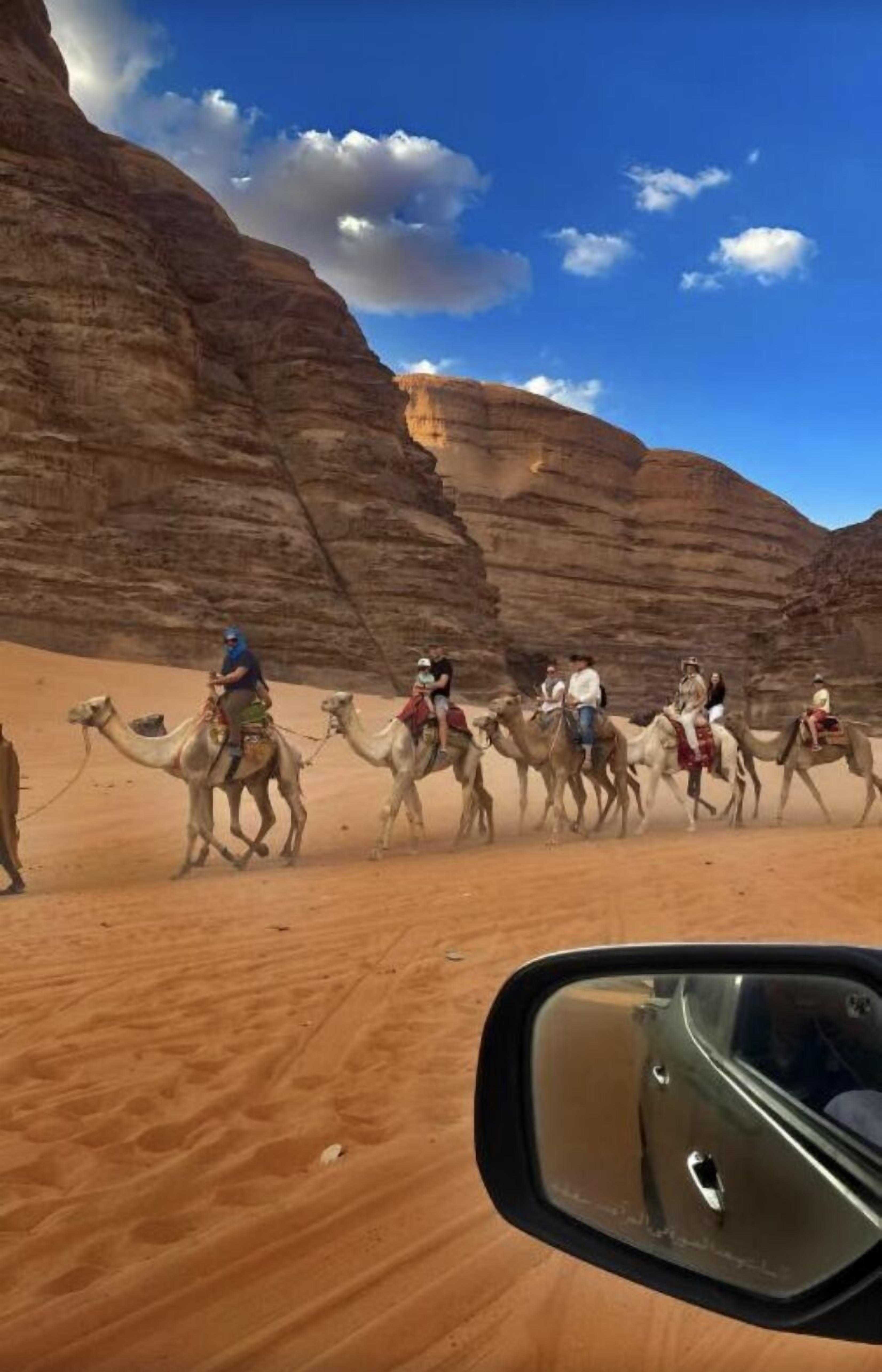 Safari-photo