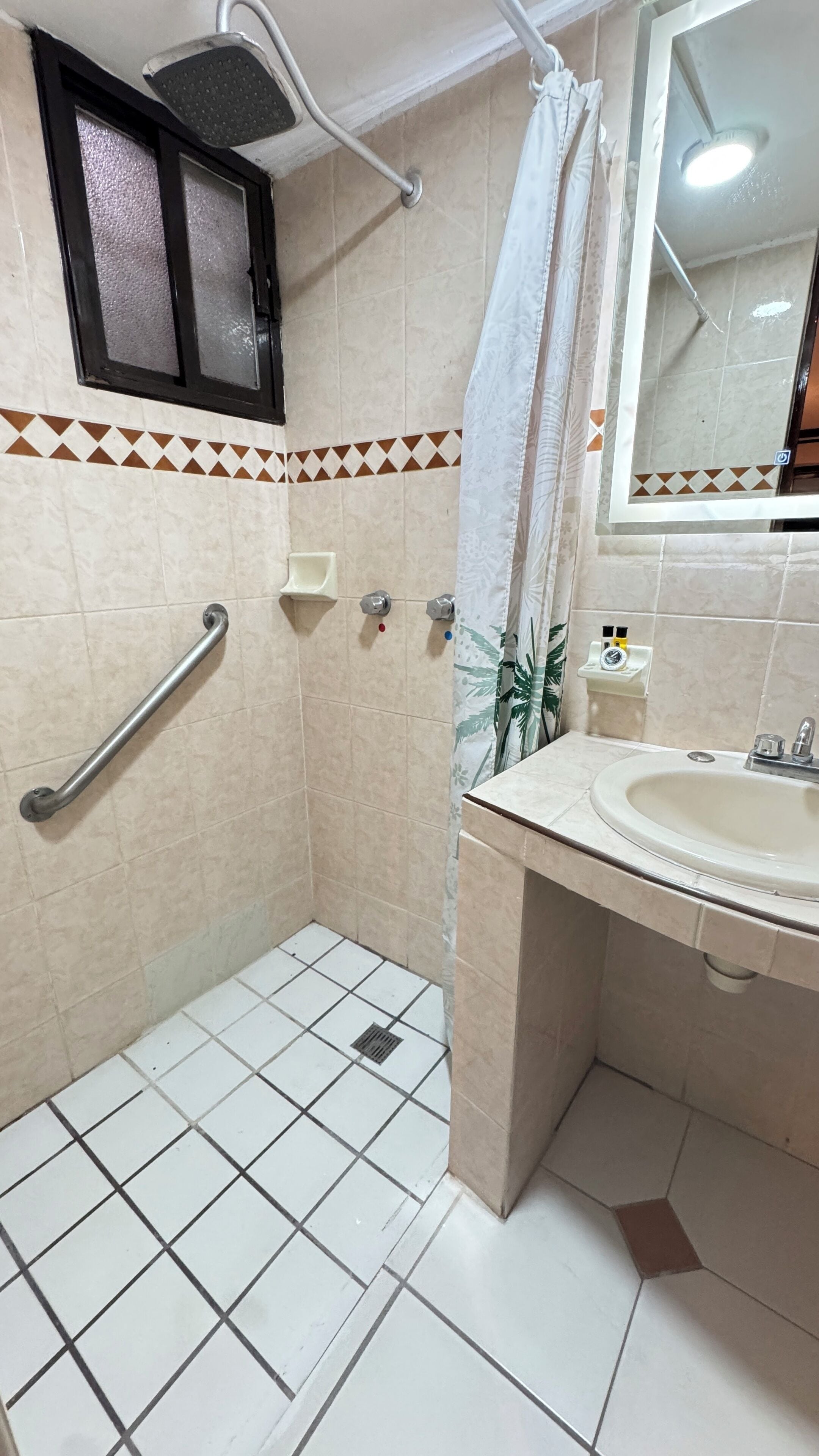 Une salle de bain équipée d’une douche, d’une barre d’appui, d’un lavabo et d’un miroir.
