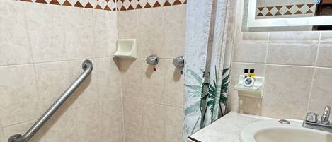 Une salle de bain équipée d’une douche, d’une barre d’appui, d’un lavabo et d’un miroir.
