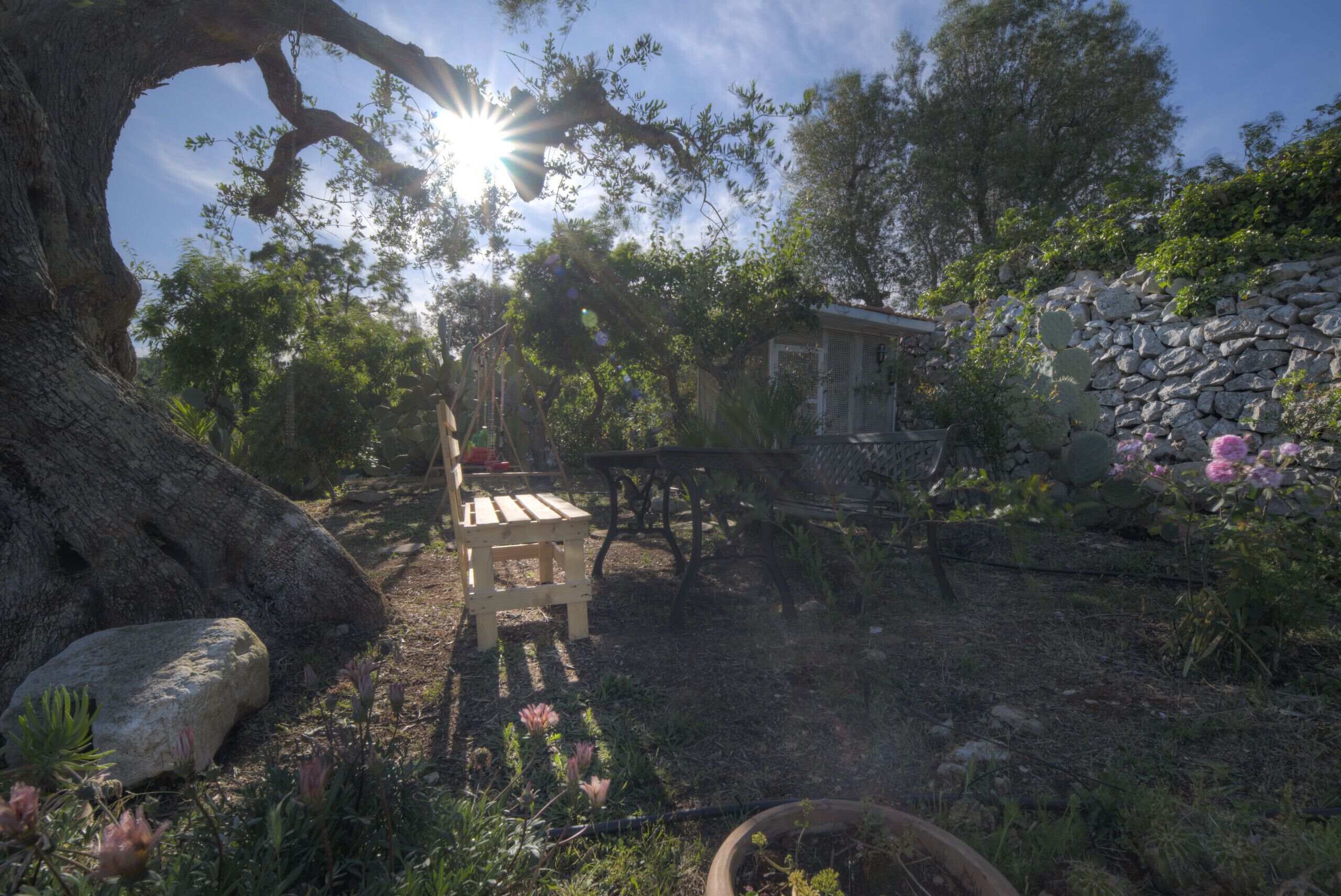 A rustic outdoor setting with a wooden bench, a stone wall, and a cactus plant.