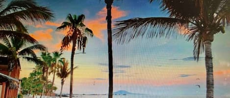Sun loungers, beach towels