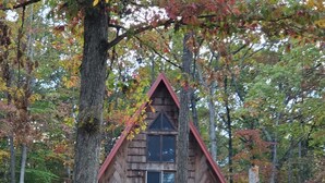 Exterior - 2 wooded acres, 2 king beds & 1 full bed, fire pit & plenty of parking!  (Springville)