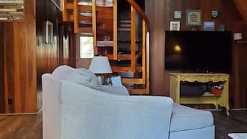 Smart TV, DVD player, books, video library