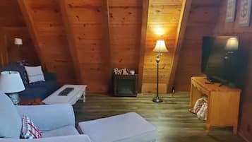 Smart TV, DVD player, books, video library