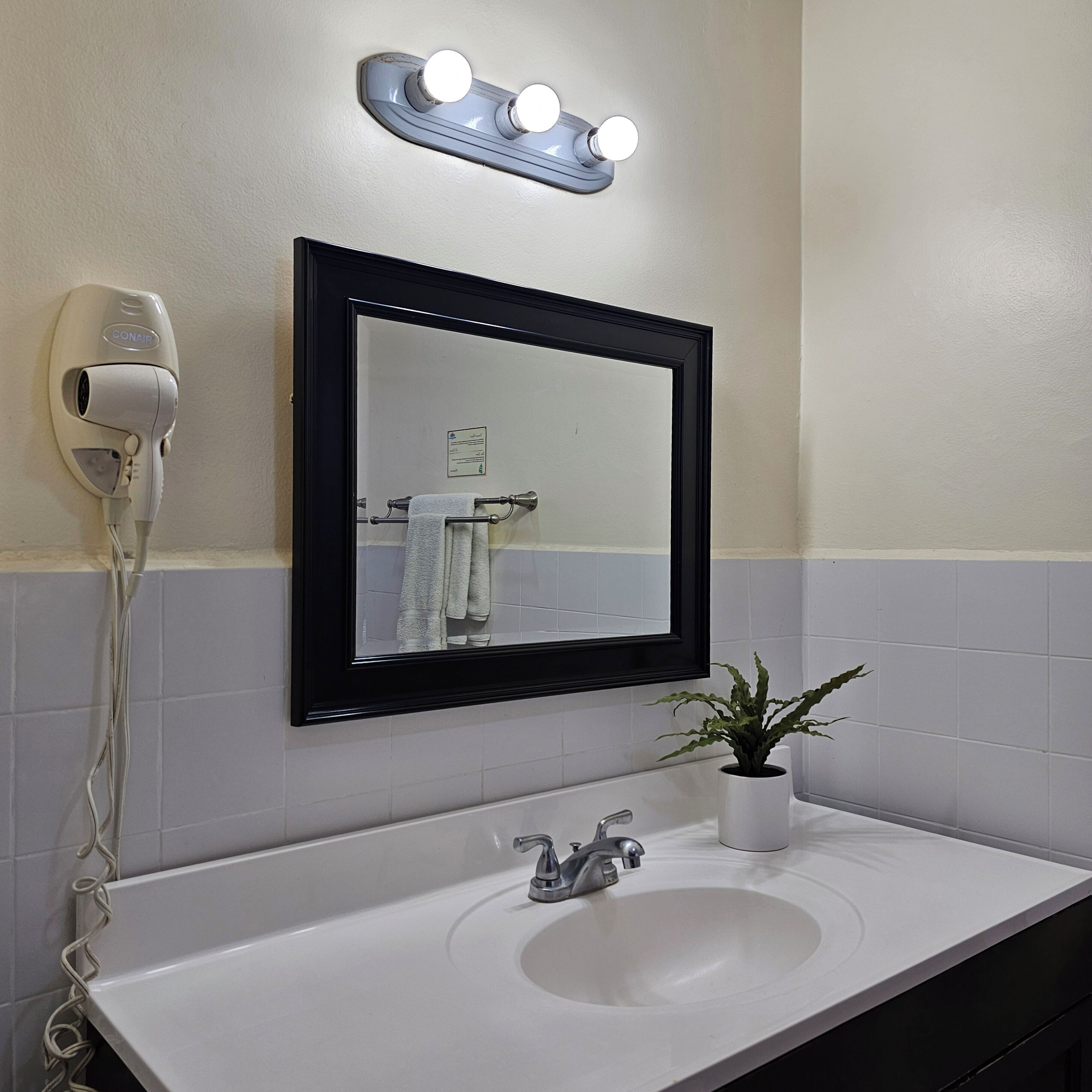 A bathroom with a white sink, a mirror, a hair dryer, and a small potted plant.