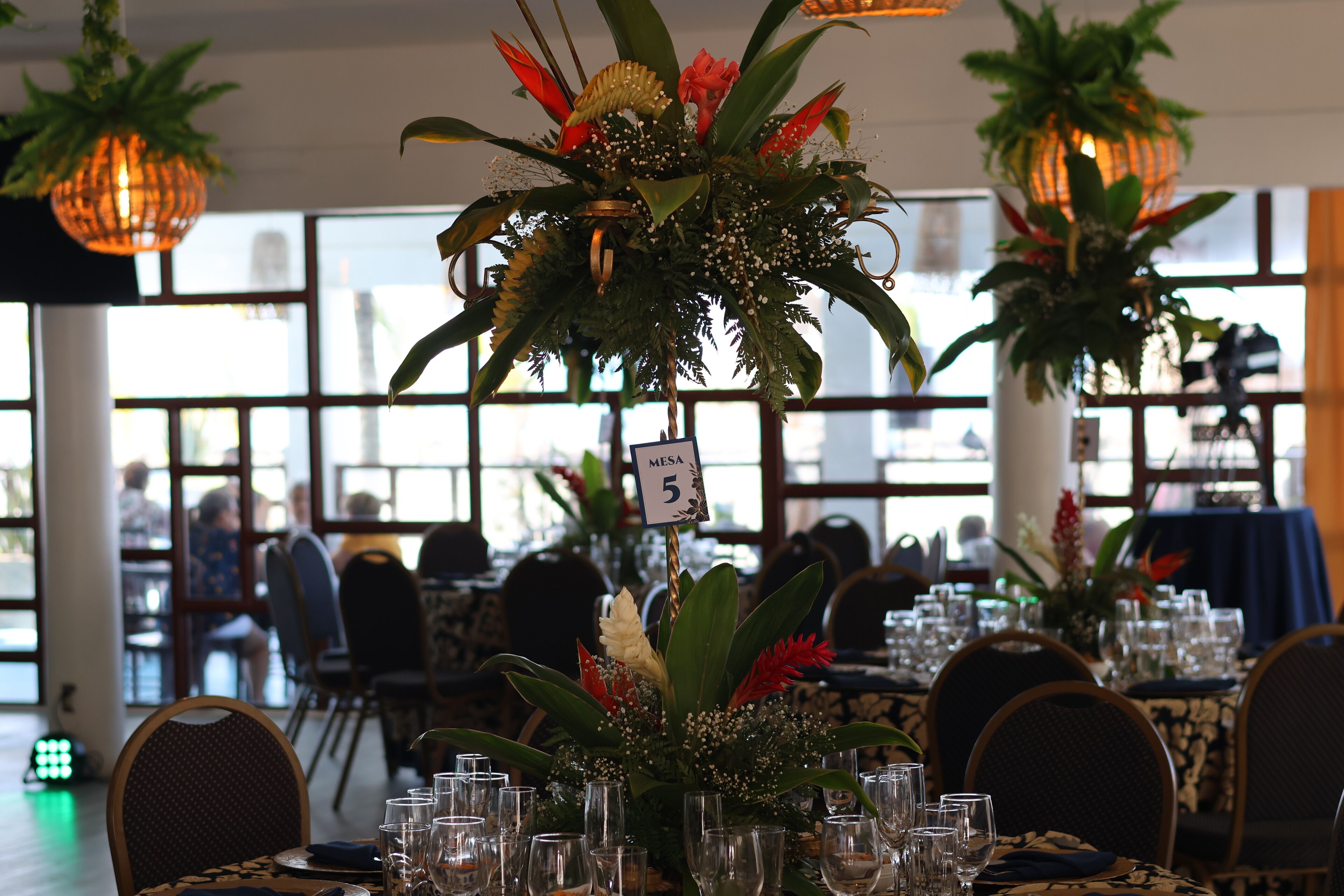 Un interior de restaurante con mesas dispuestas para comer, ventanas amplias y plantas colgantes.