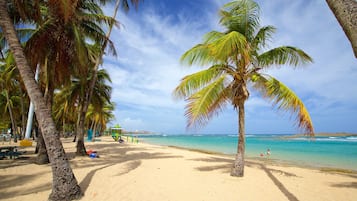 Playa