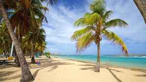 A beach with palm trees, a clear sky, and the ocean. - Don Charlie Building (San Juan)