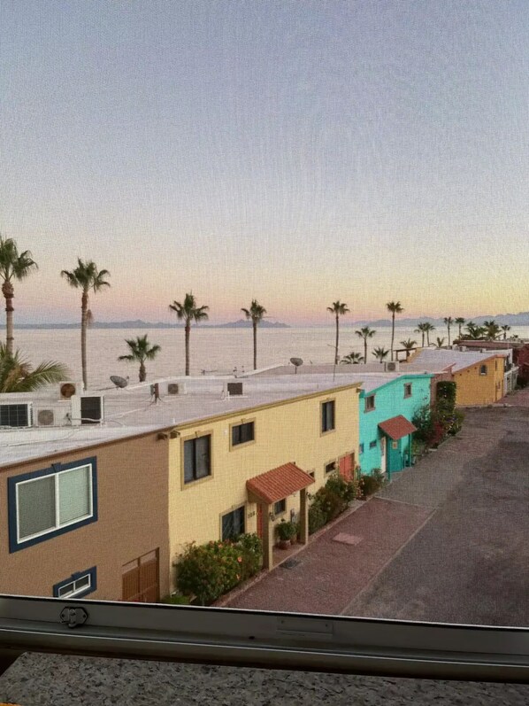 A coastal view with buildings and palm trees.