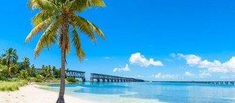 Peaceful Big Pine Tropical Seaside-BP#22