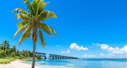 Peaceful Big Pine Tropical Seaside-BP#22