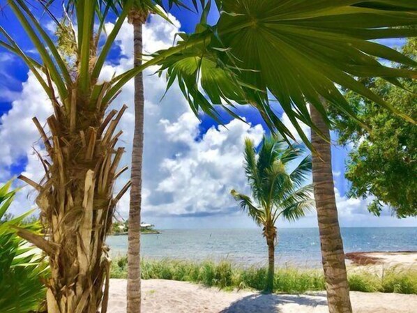 Beach - Peaceful Big Pine Tropical Seaside-BP#22 (Big Pine Key)