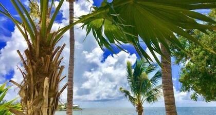 Blue Coral Lagoon Pool Seaside