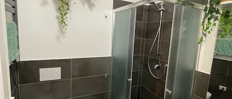 Shower, hair dryer, bidet, towels