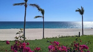 A beach with palm trees and pink flowers in the foreground, and a clear blue sky. - ZOËTRY CASA DEL MAR 6 rounds Golf clinic/Spa/Wild Canyon/Wine & Cheese/Catamaran (San José del Cabo)