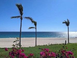 Una playa con palmeras y flores rosadas al frente, bajo un cielo azul y despejado.