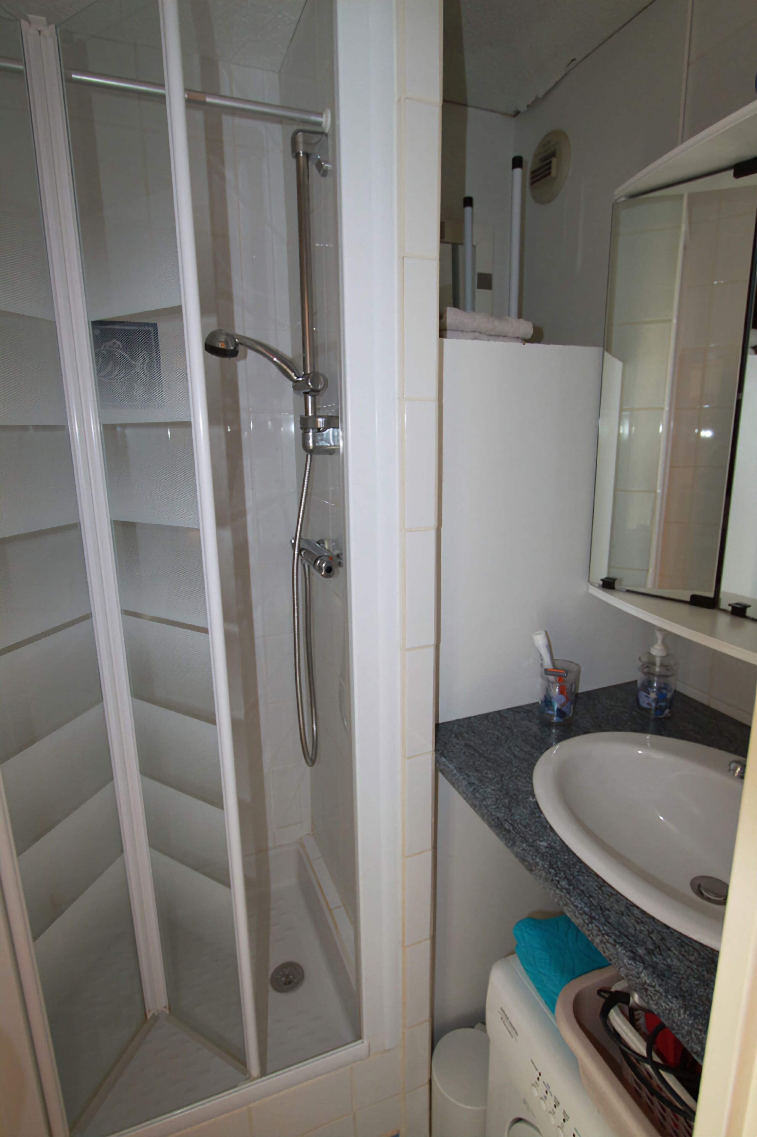 A bathroom with a glass-enclosed shower, a sink, and a mirror.