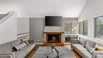 Smart TV, fireplace, books, video library