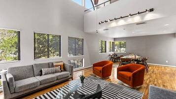 Smart TV, fireplace, books, video library