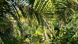 A statue of a mermaid sitting on a rock surrounded by lush greenery. - Tropical Paradise in BEST LOCATION! Walk to everything! Heated pool! (Cape Coral)