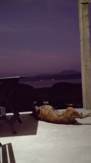 Terraço/pátio
