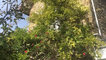 DĂ©tail de lâextĂ©rieur