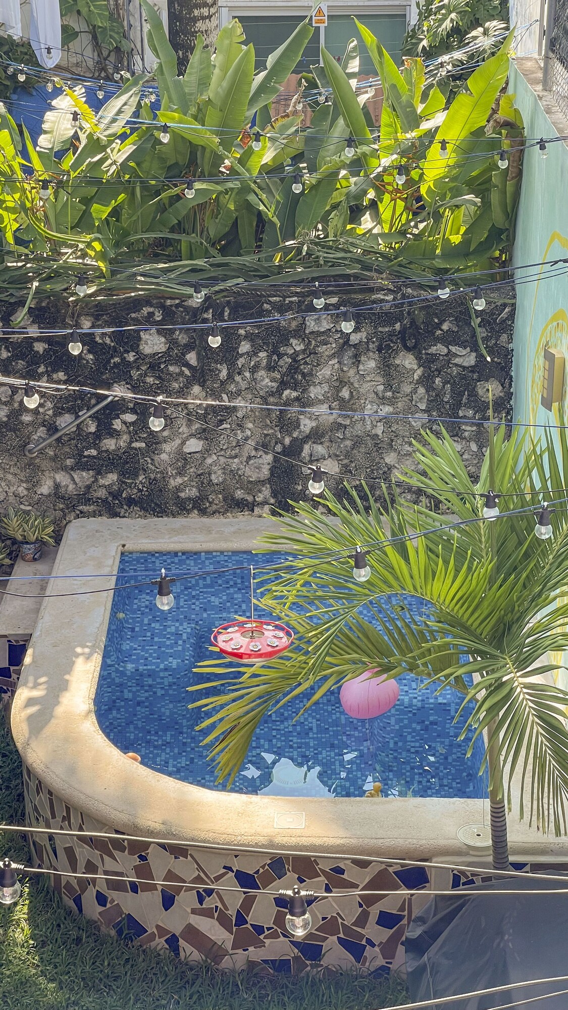 Imagem do perfil do anfitrião