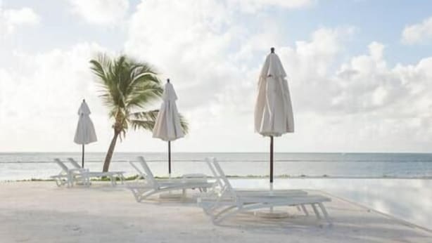 Een strand met witte ligbedden en parasols, palmbomen en uitzicht op de oceaan.