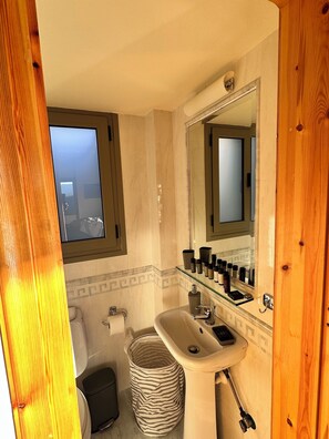 Shower, hair dryer, towels, soap - Kalavryta Villa Nano 360 view with fireplace  (KALAVRITA)