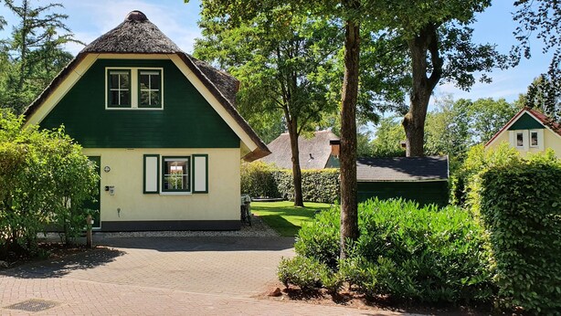 A green house with a thatched roof, surrounded by lush greenery and trees.