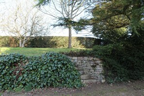 A stone wall, a hedge, and a tree in a garden setting.