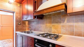 Fridge, oven, stovetop, cookware/dishes/utensils