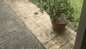 Front of property - Robs place (Buderim)