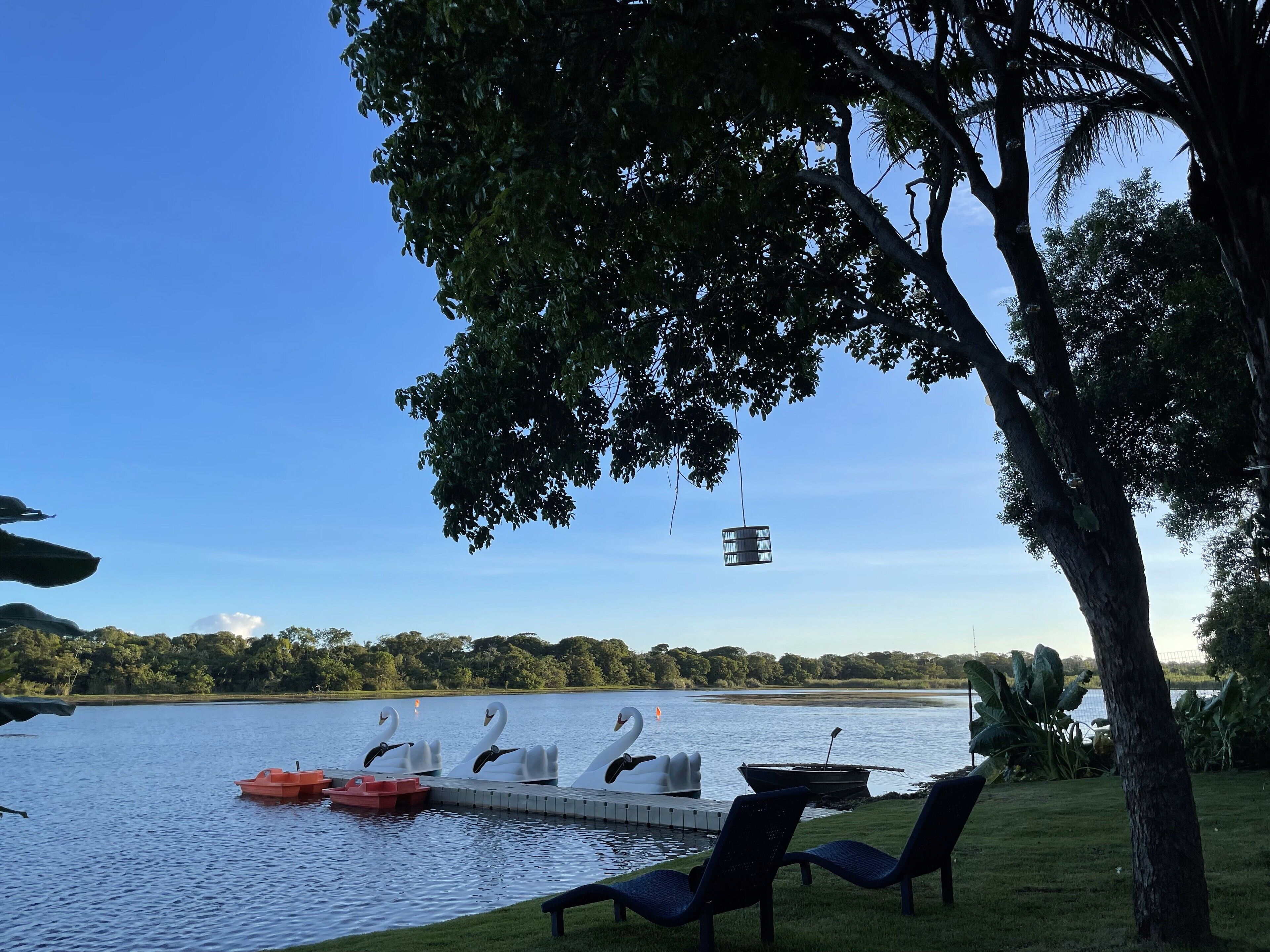 A lakeside view with swan-shaped docks, a boat, and lounge chairs under a tree.