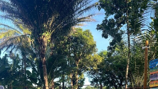 Une personne dans une piscine, avec vue sur un paysage tropical, et un panneau indiquant les équipements disponibles, comme un club pour enfants et un service de location de vélos.