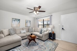 Smart TV, fireplace, books