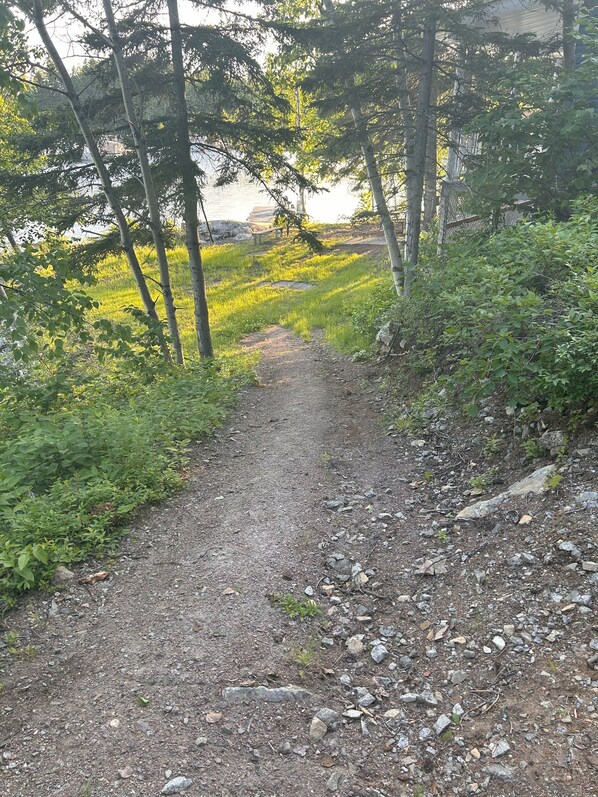 A gravel path surrounded by trees and greenery, leading towards a body of water.