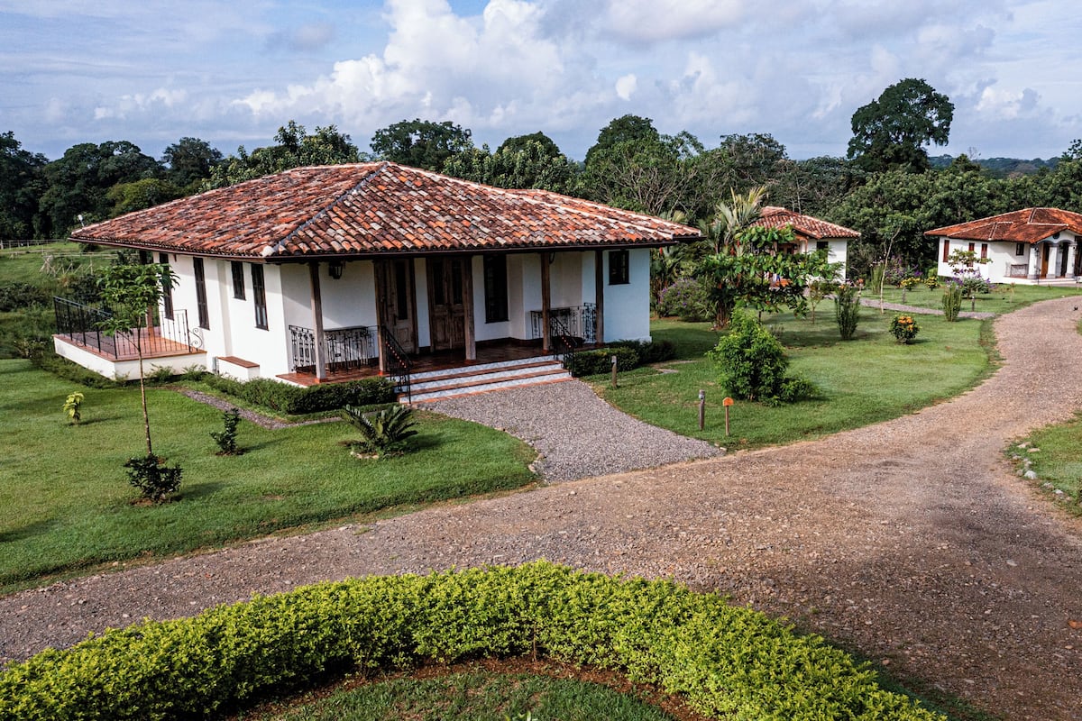 Draps en coton égyptien, literie de qualité supérieure