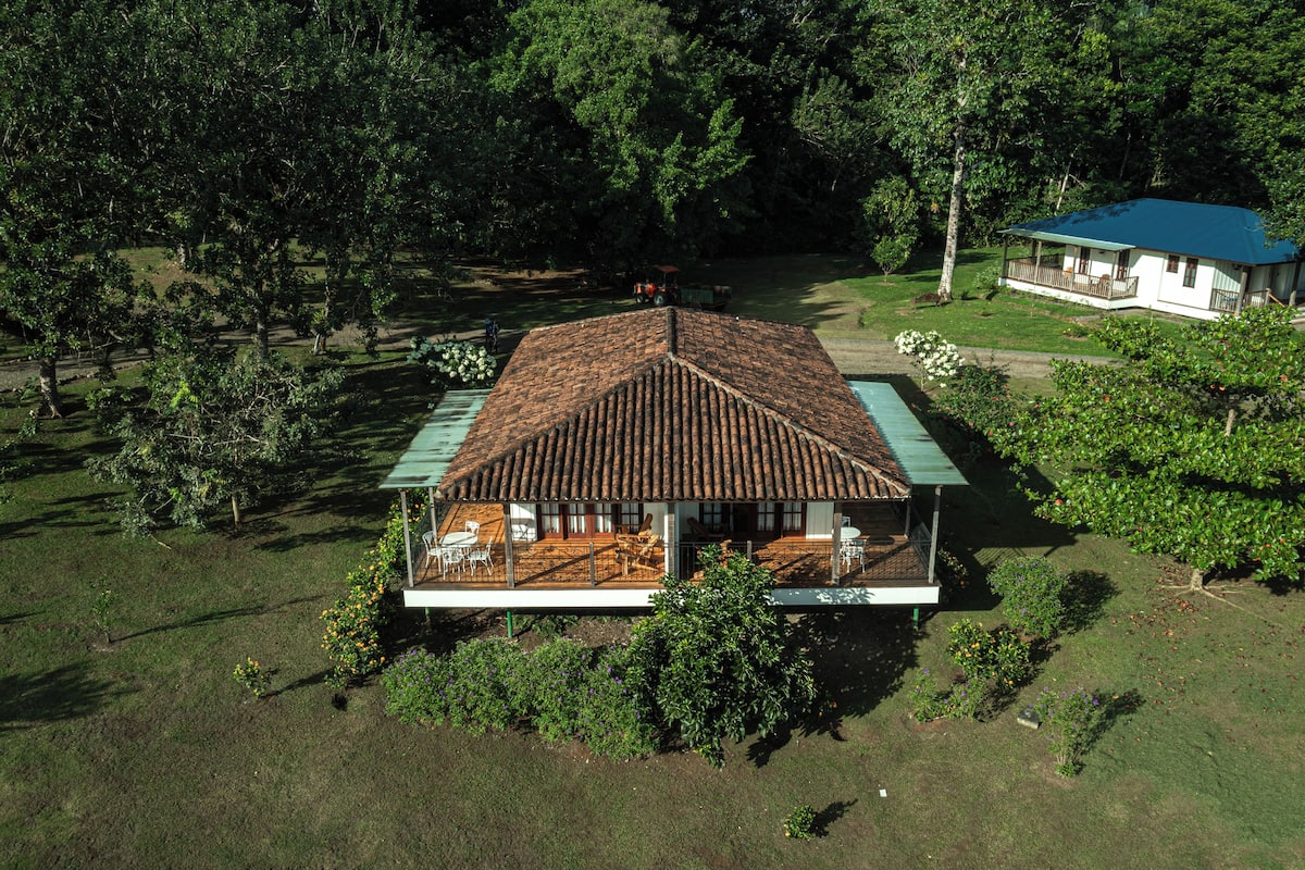 Egyptian cotton sheets, premium bedding, down duvets, memory-foam beds