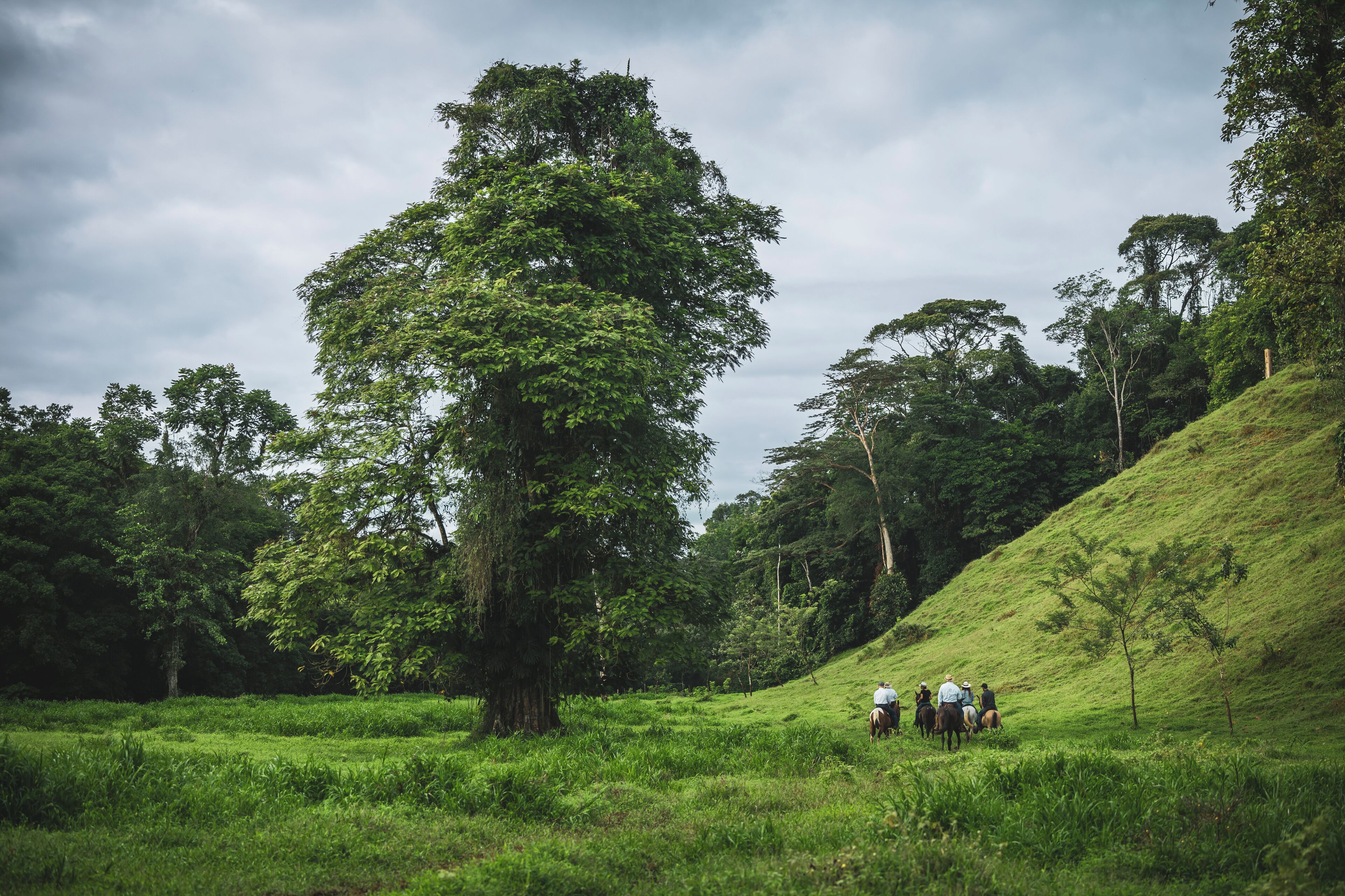 A group of people on horseback in a lush green field with trees and a hill in the background.