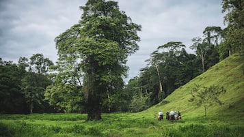 A group of people on horseback in a lush green field with trees and a hill in the background.