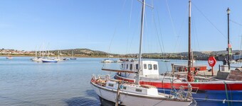 9   채플 스트리트