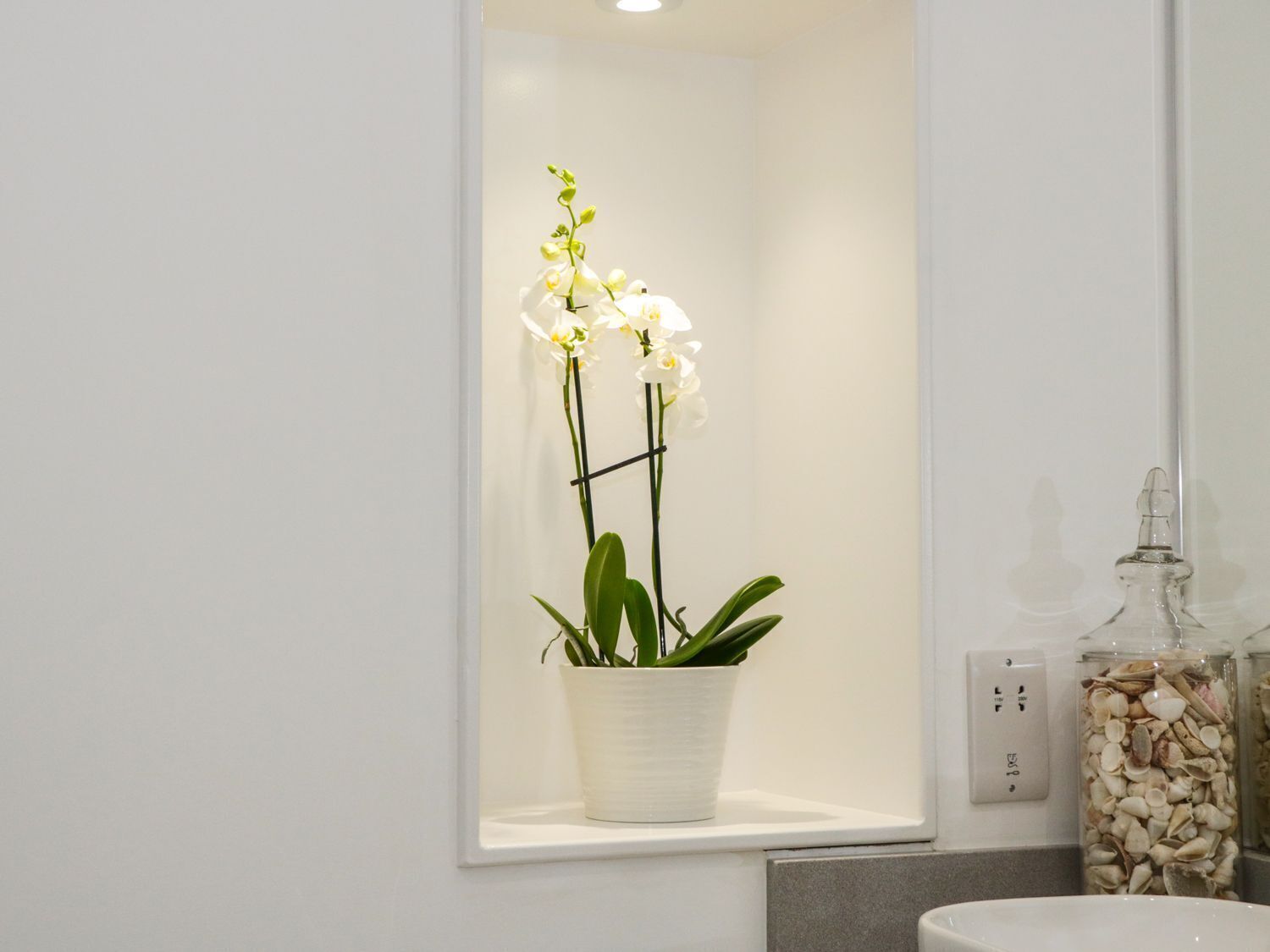 A bathroom with a white sink, a window with a potted orchid, and a jar of seashells.