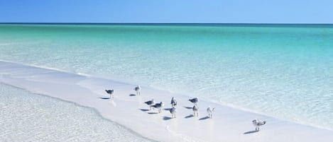 Plage à proximité