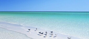 🦩Now Booking for Summer! Pinkie Preferred Property~Private Heated Pool~Pet-Friendly🦩